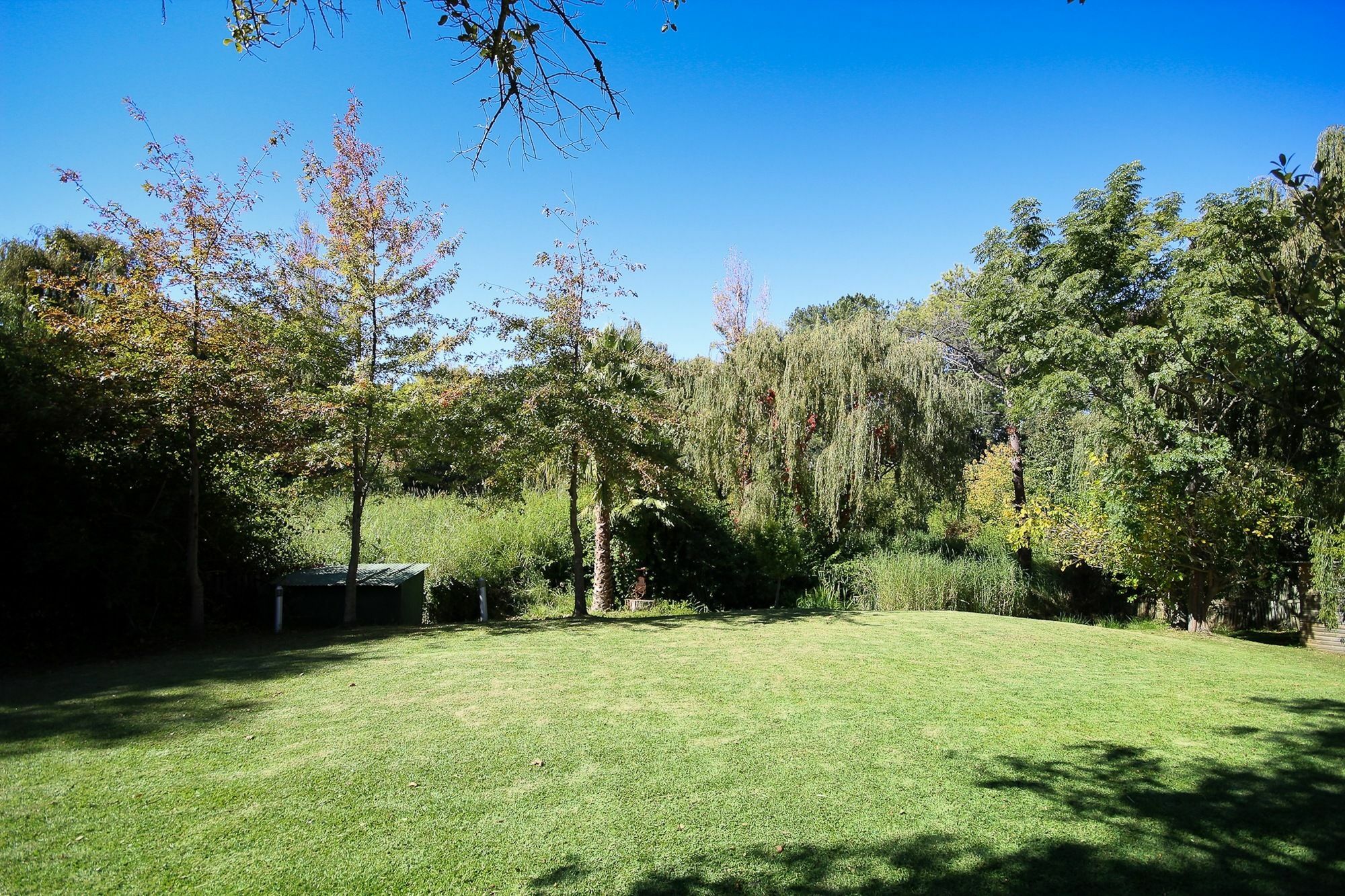 Bed and Breakfast Constantia Spring Exterior foto